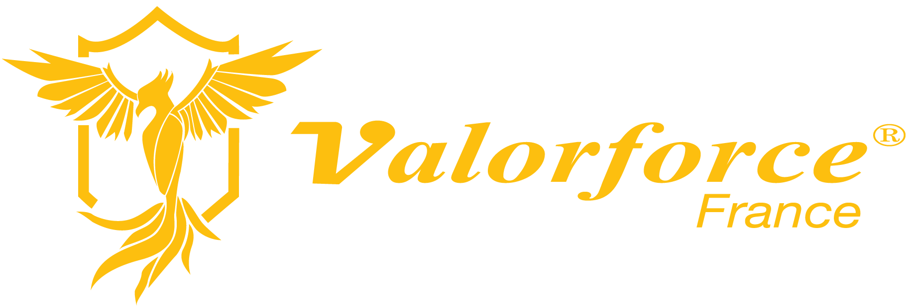 Valorforce client logo